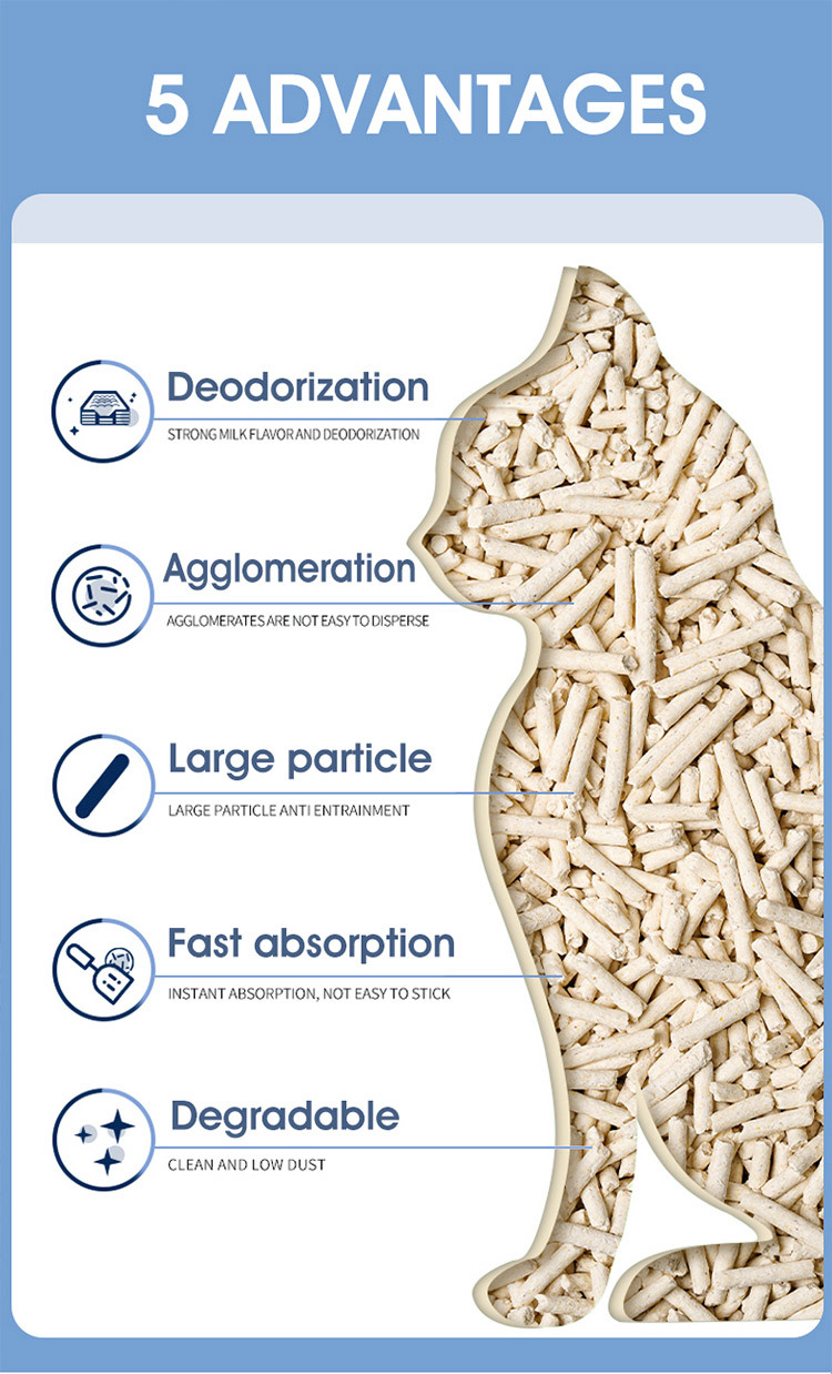 1765526582498592.jpg 57d7eef0-8361-4f17-8a36-2bbd21c17f23.jpg