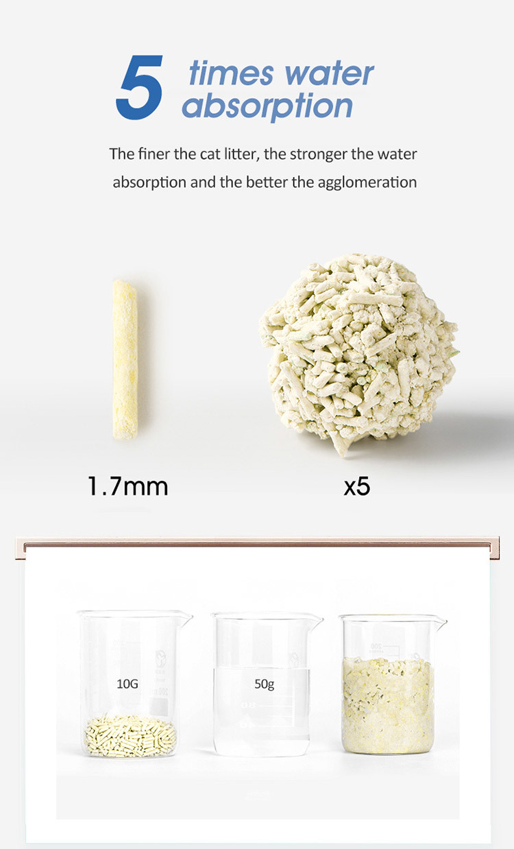 1765526587362279.jpg 500db537-af76-4d20-b8bd-f9f13ebc89bb.jpg