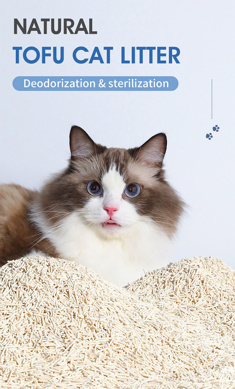 1765526600880416.jpg c800308e-6fc2-4fbe-9d6f-884ae7e2ec00.jpg