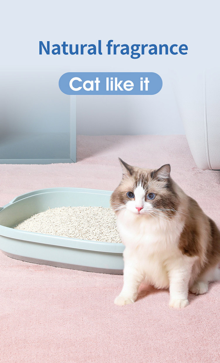 1765526613597376.jpg f2c62c00-5100-4972-8b44-492349fcff4c.jpg