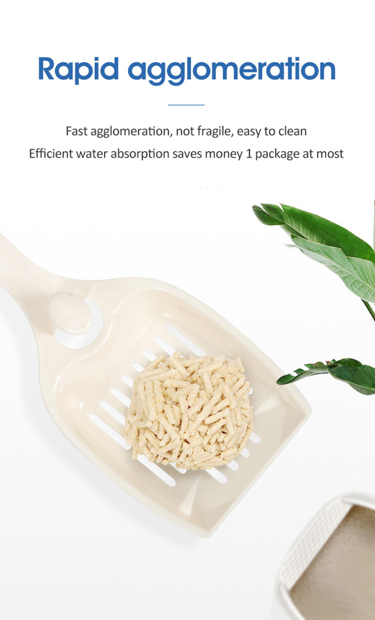 1765526616519089.jpg fe46b2b9-6ae9-4a20-9c17-eb8b6625197e.jpg